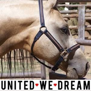 Meet your Posher, Dwight